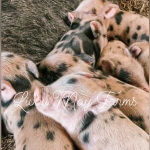 Professional photo print 8x10